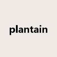 plantain是什么意思