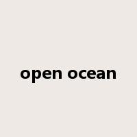 open ocean是什么意思