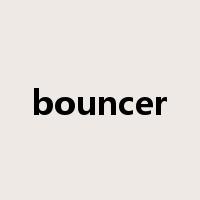 bouncer是什么意思