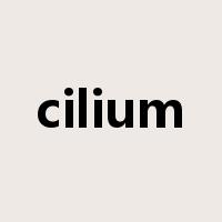 cilium是什么意思