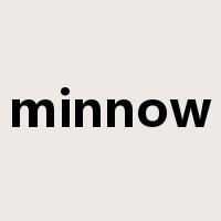 minnow是什么意思