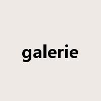 galerie是什么意思