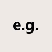 e.g.是什么意思