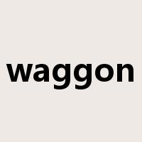 waggon是什么意思