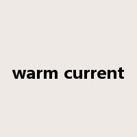 warm current是什么意思