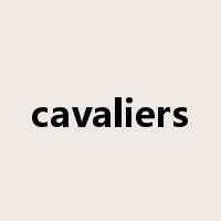 cavaliers是什么意思