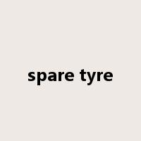 spare tyre是什么意思