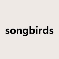 songbirds是什么意思