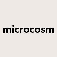 microcosm是什么意思