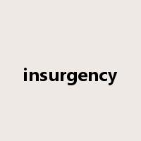 insurgency是什么意思