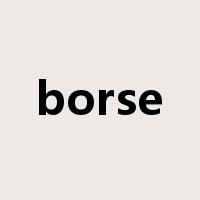 borse是什么意思