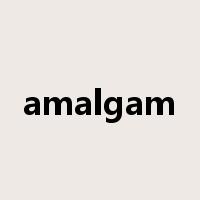 amalgam是什么意思