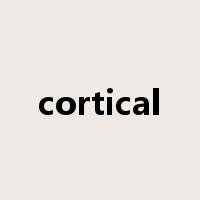 cortical是什么意思