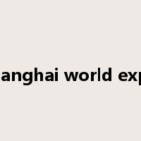 shanghai world expo是什么意思