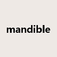 mandible是什么意思