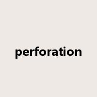 perforation是什么意思