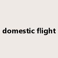 domestic flight是什么意思