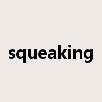 squeaking是什么意思