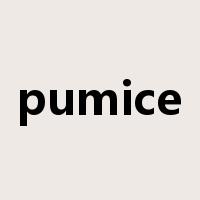 pumice是什么意思