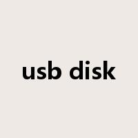 usb disk是什么意思