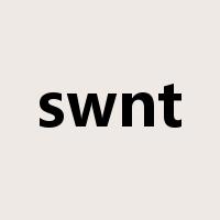 swnt是什么意思