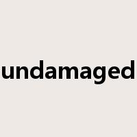 undamaged是什么意思