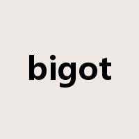 bigot是什么意思