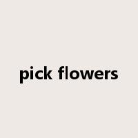pick flowers是什么意思