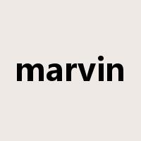 marvin是什么意思