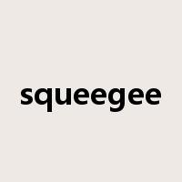 squeegee是什么意思