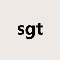 sgt是什么意思
