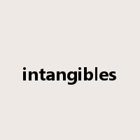 intangibles是什么意思