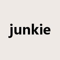 junkie是什么意思