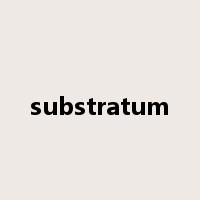 substratum是什么意思