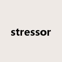 stressor是什么意思