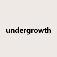 undergrowth是什么意思