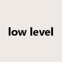 low level是什么意思