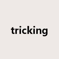 tricking是什么意思