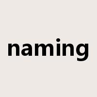 naming是什么意思