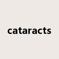 cataracts是什么意思