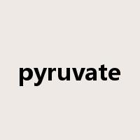pyruvate是什么意思