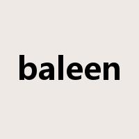 baleen是什么意思