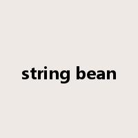 string bean是什么意思