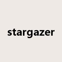 stargazer是什么意思