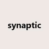 synaptic是什么意思