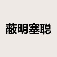 蔽明塞聪是什么意思