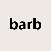 barb是什么意思