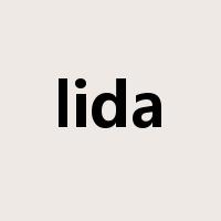 lida是什么意思