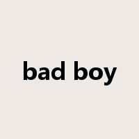bad boy是什么意思