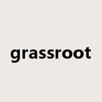 grassroot是什么意思